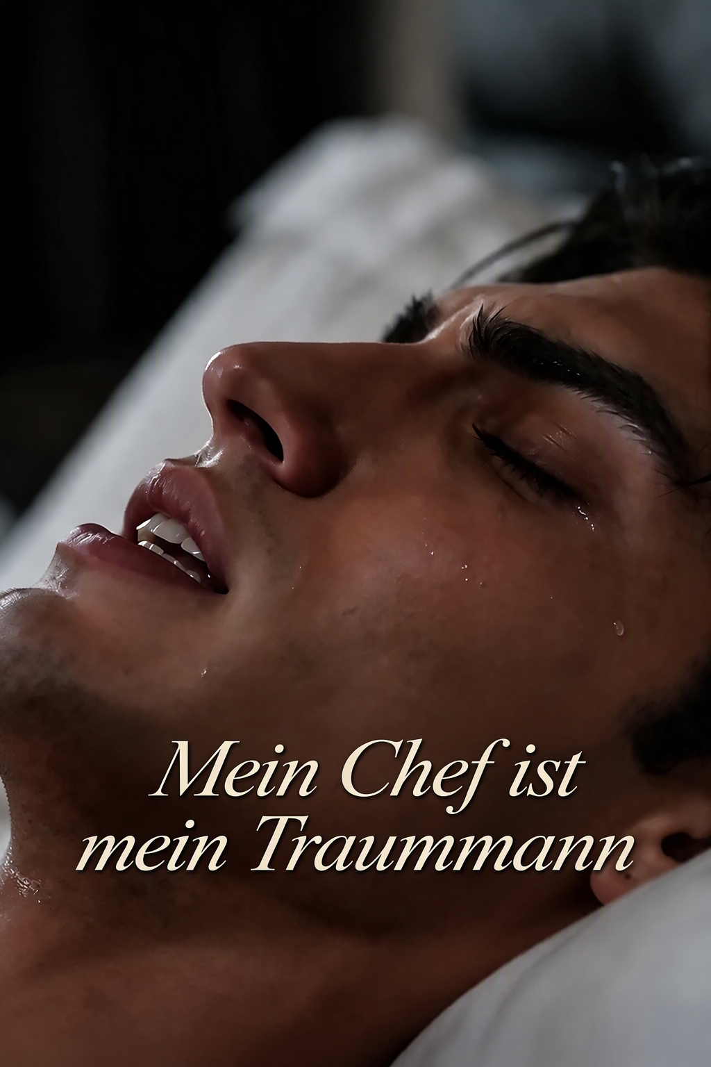 Mein Chef ist mein Traummann