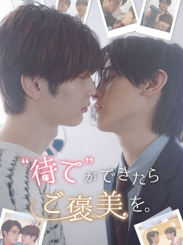 "待て"ができたらご褒美を。