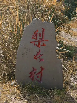 خبيرة الزراعة تهزم المجاعة