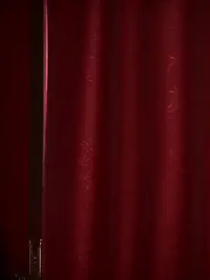 Casada com o príncipe fantasma