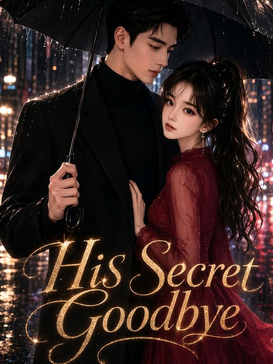 His Secret Goodbye