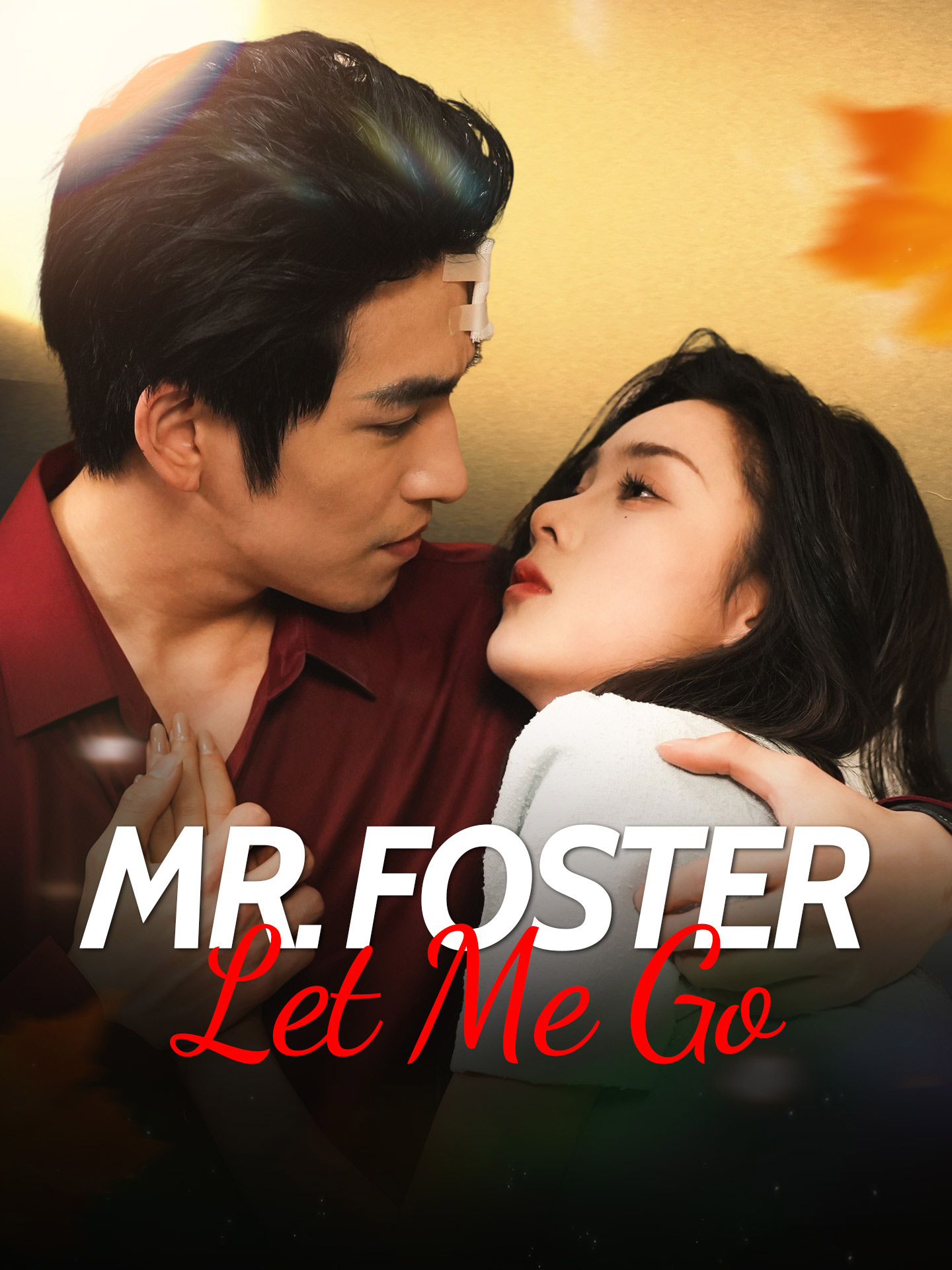 Mr. Foster, Let Me Go