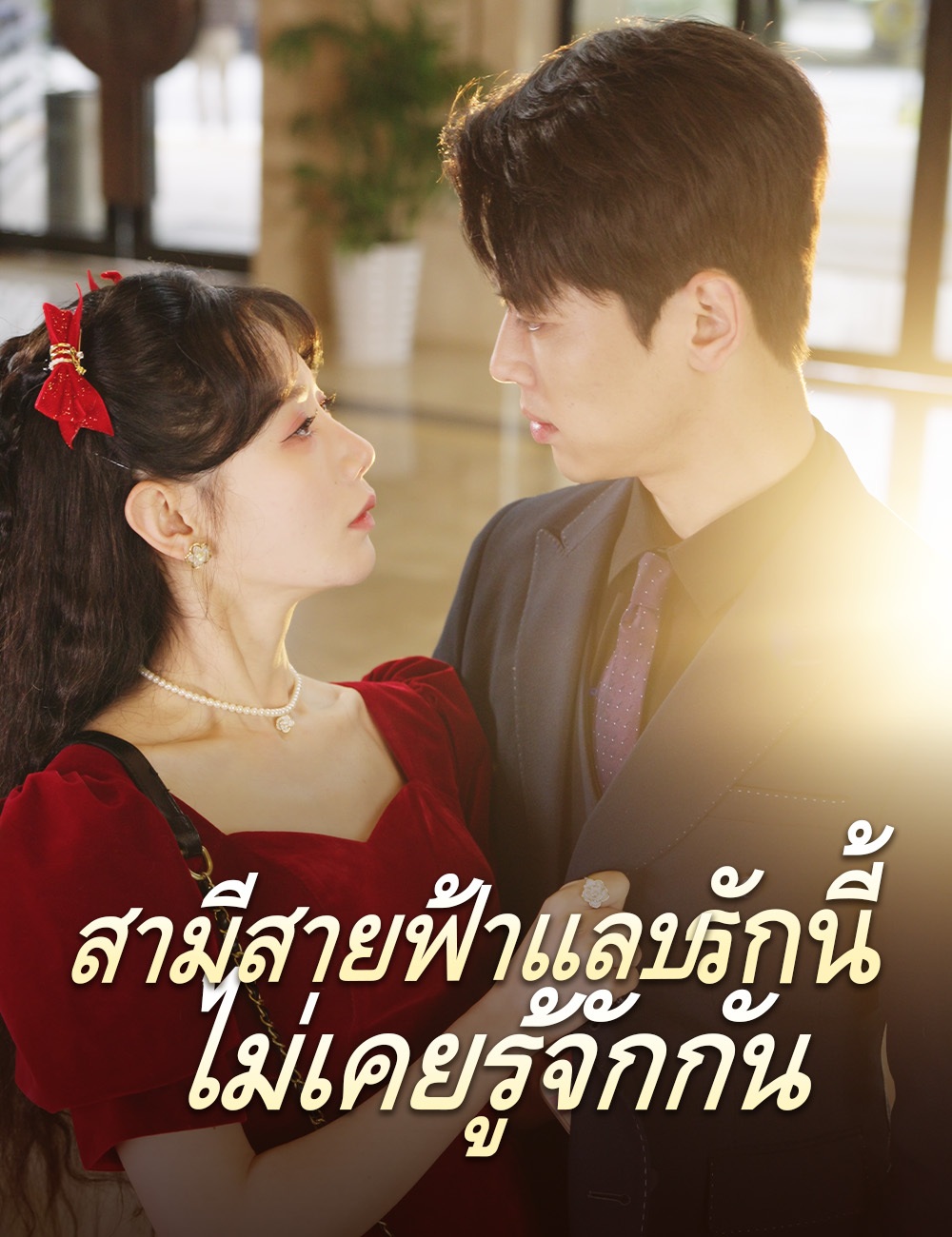 สามีสายฟ้าแลบ รักนี้ไม่เคยรู้จักกัน (2024)