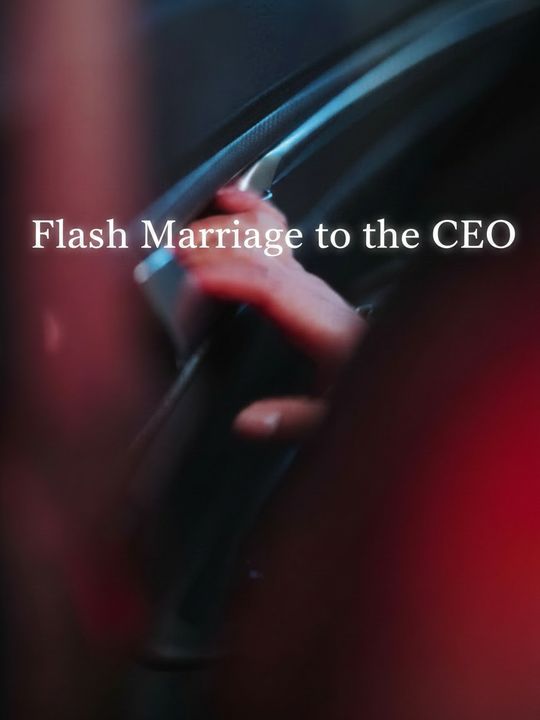 Flash Marriage to the CEO