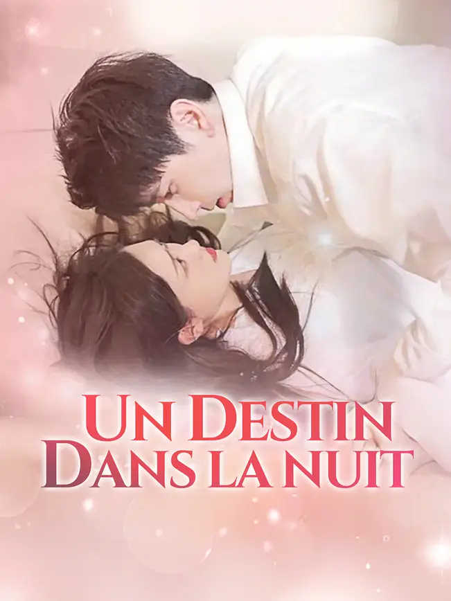 UN DESTIN DANS LA NUIT (2025)