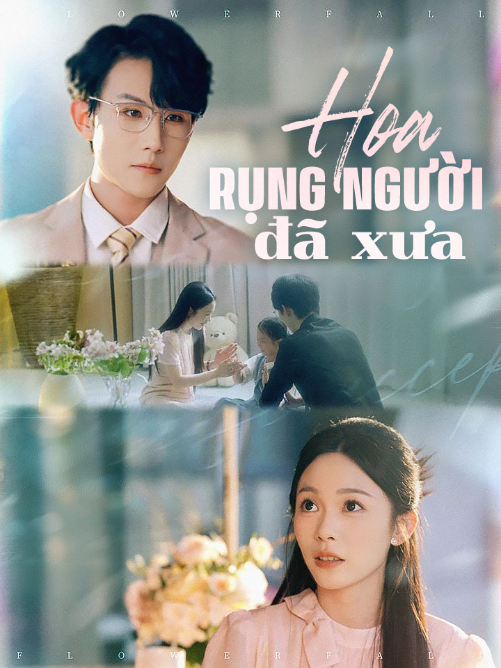 Hoa rụng người đã xưa