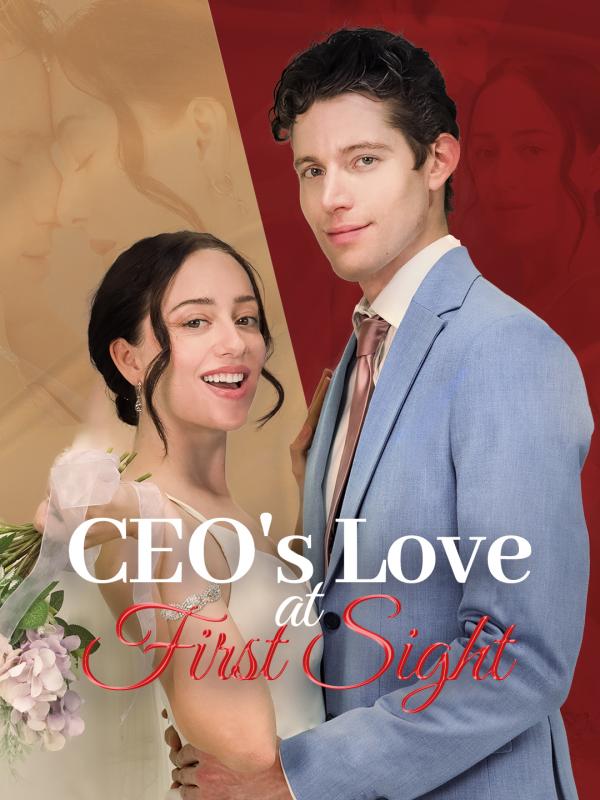 CEO's Love at First Sight