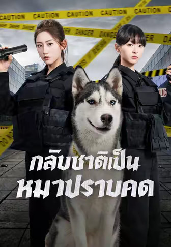 กลับชาติเป็นหมาปราบคด