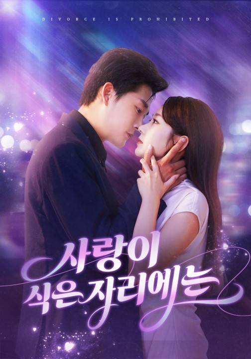 사랑이 식은 자리에는(더빙)