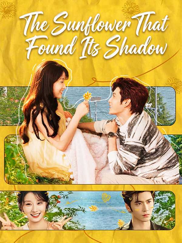 The Sunflower That Found Its Shadow