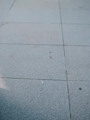 회장님의 고용 아내