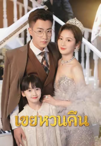 เขยหวนคืน