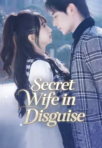 Secret Wife in Disguise