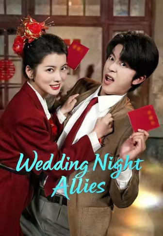 Wedding Night Allies