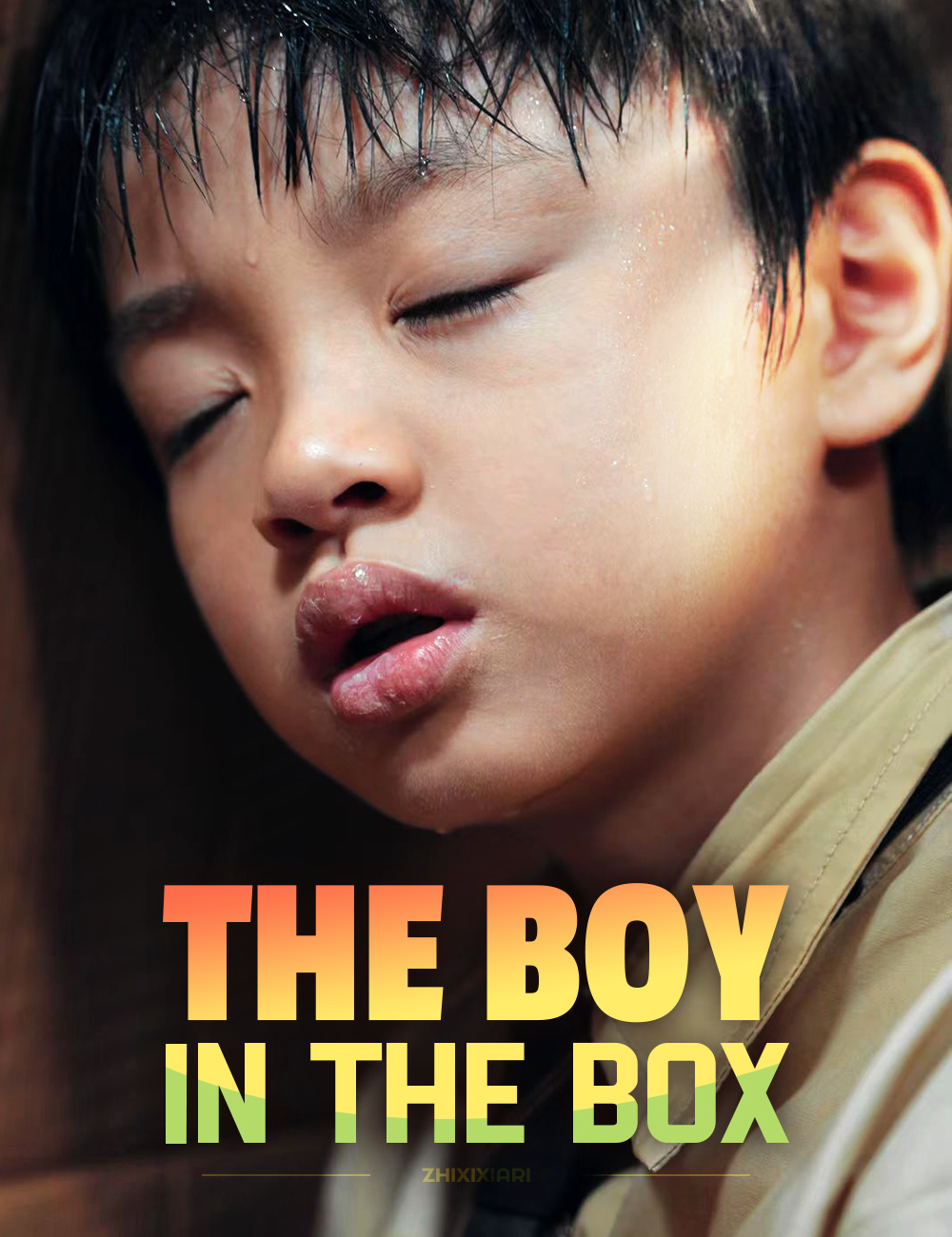The Boy in the Box