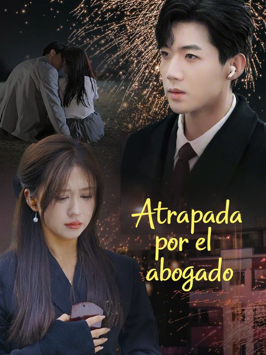 Atrapada por el abogado