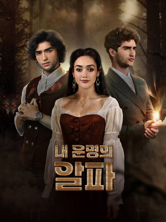 내 운명의 알파