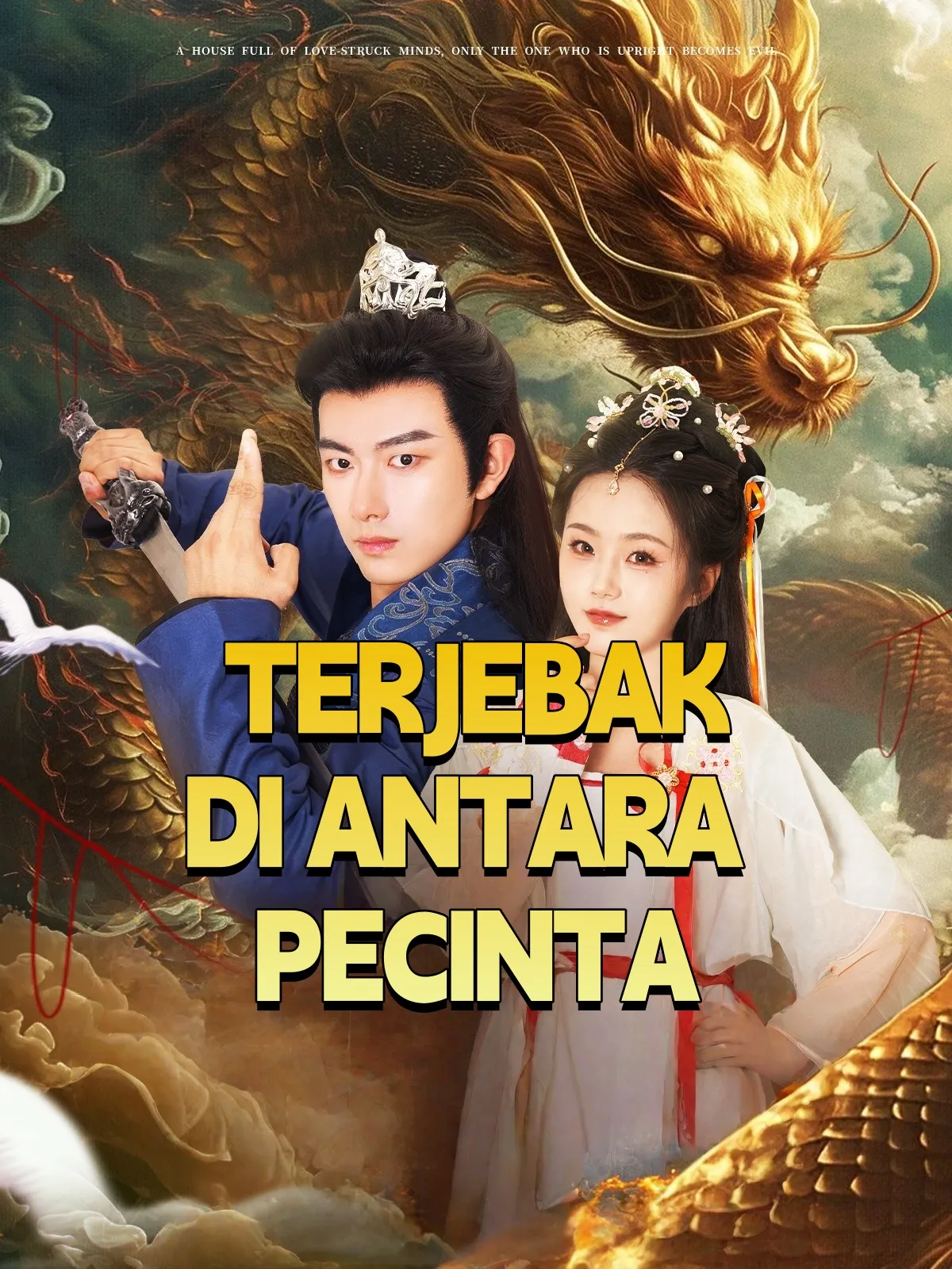 TERJEBAK DI ANTARA PECINTA