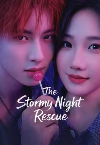 The Stormy Night Rescue