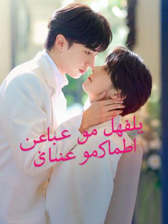 حبيبي هو الرئيس التنفيذي