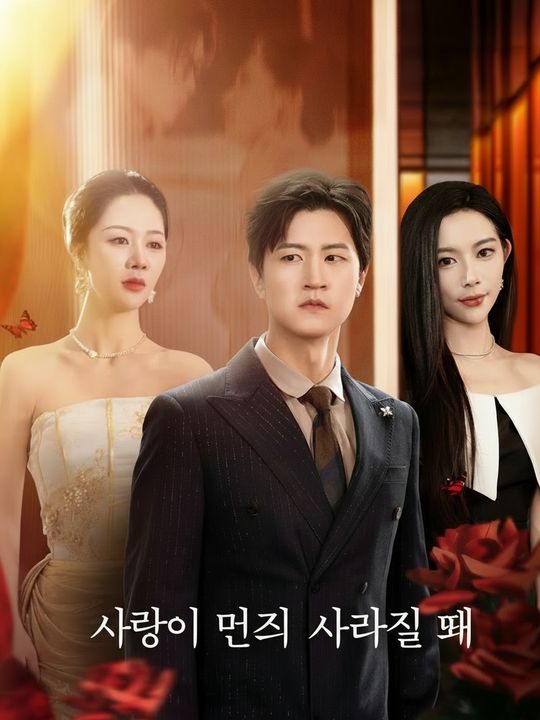 사랑이 먼지로 사라질 때