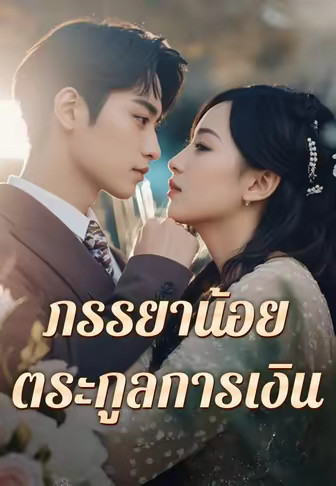 ภรรยาน้อยตระกูลการเงิน
