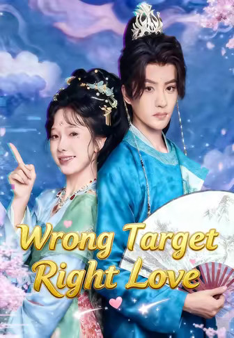 Wrong Target Right Love