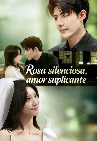 Rosa silenciosa, amor suplicante