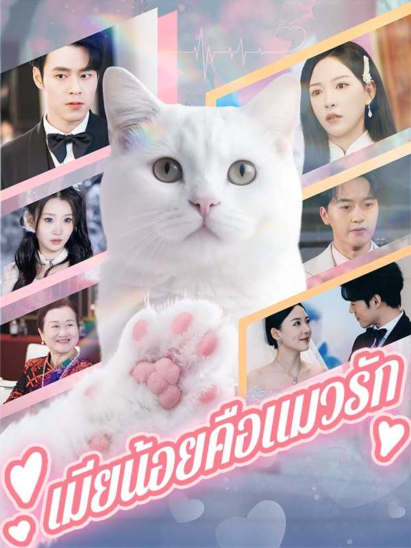 เมียน้อยคือแมวรัก