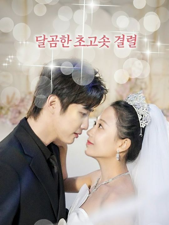 달콤한 초고속 결혼