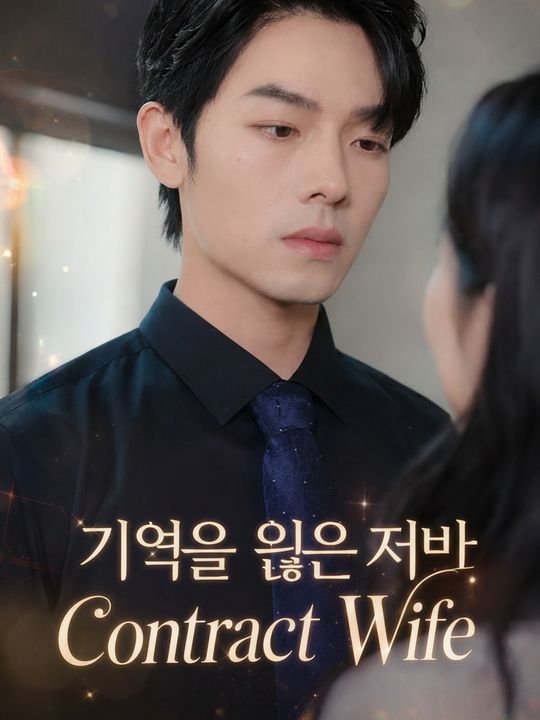 기억을 잃은 재벌 아내