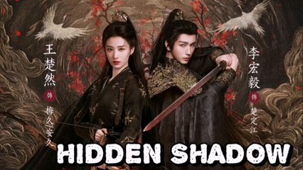 hidden in the shadow (2024)