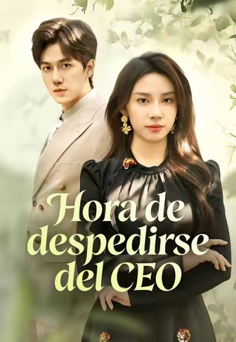 Hora de despedirse del CEO
