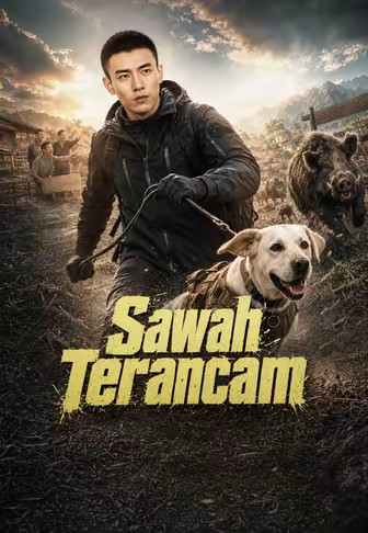Sawah Terancam