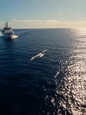 Master of the Deep