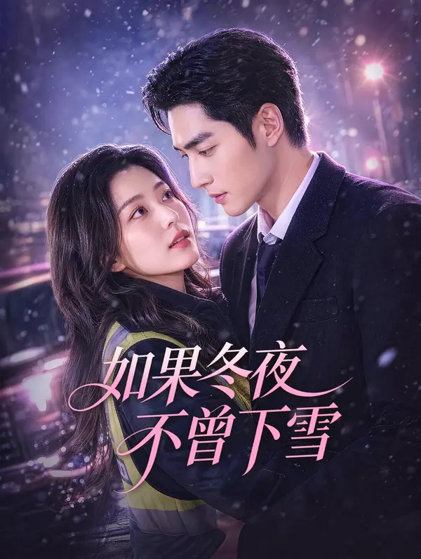 如果冬夜不曾下雪
