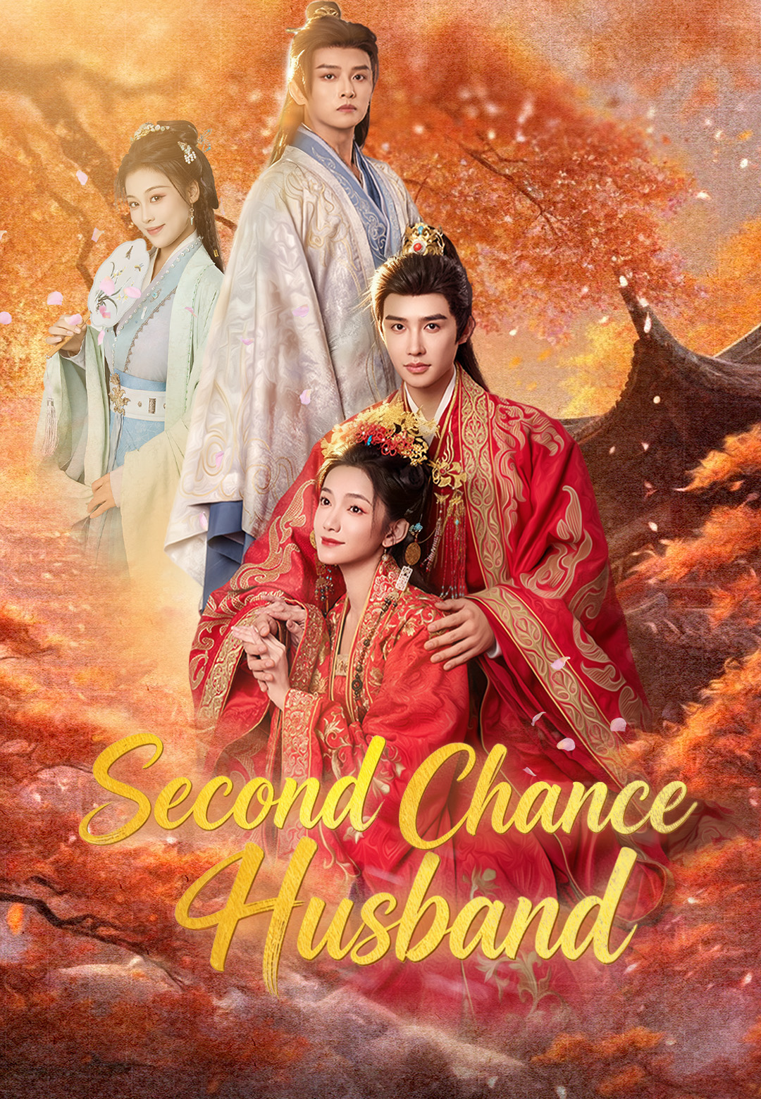 Second Chance Husband