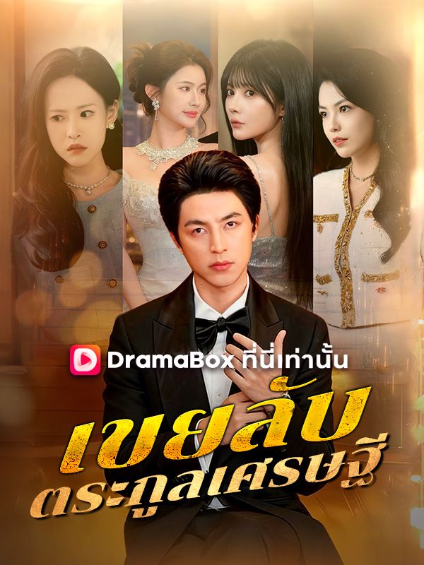 เขยลับตระกูลเศรษฐี(พากย์ไทย)