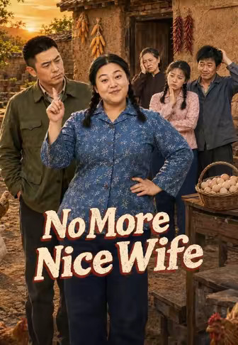 No More Nice Wife