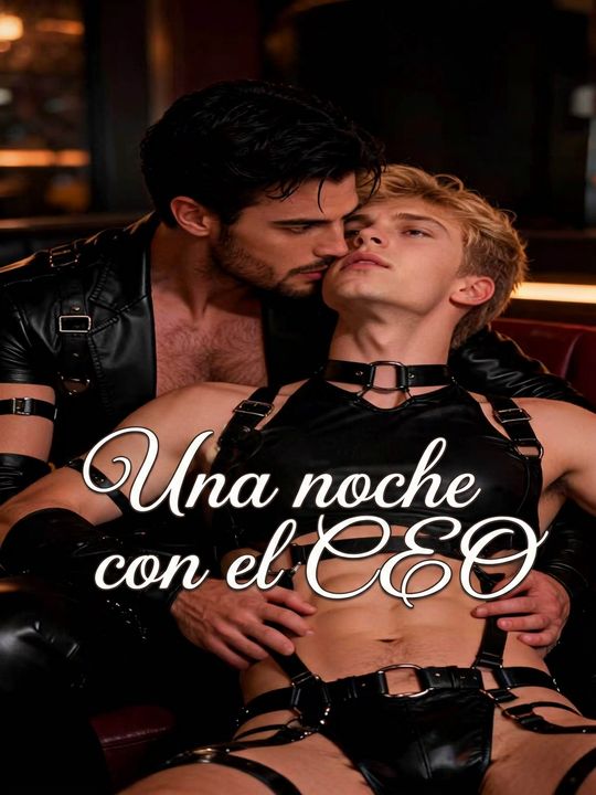 Una noche con el CEO