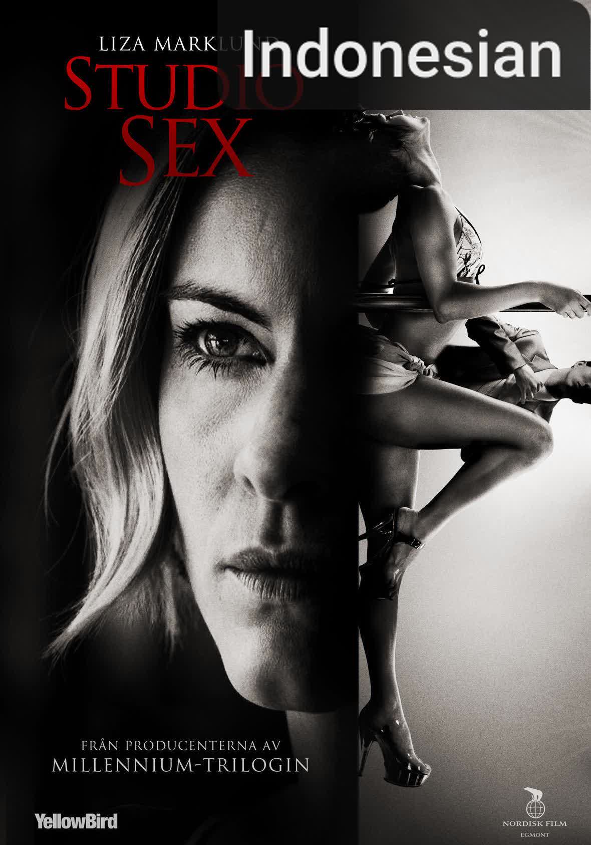 Annika Bengtzon: Crime Reporter - Studio Sex [Indonesian]