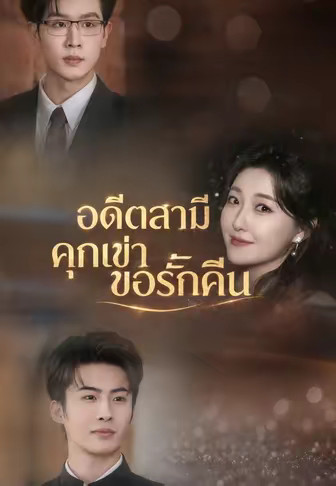 อดีตสามีคุกเข่าขอรักคืน