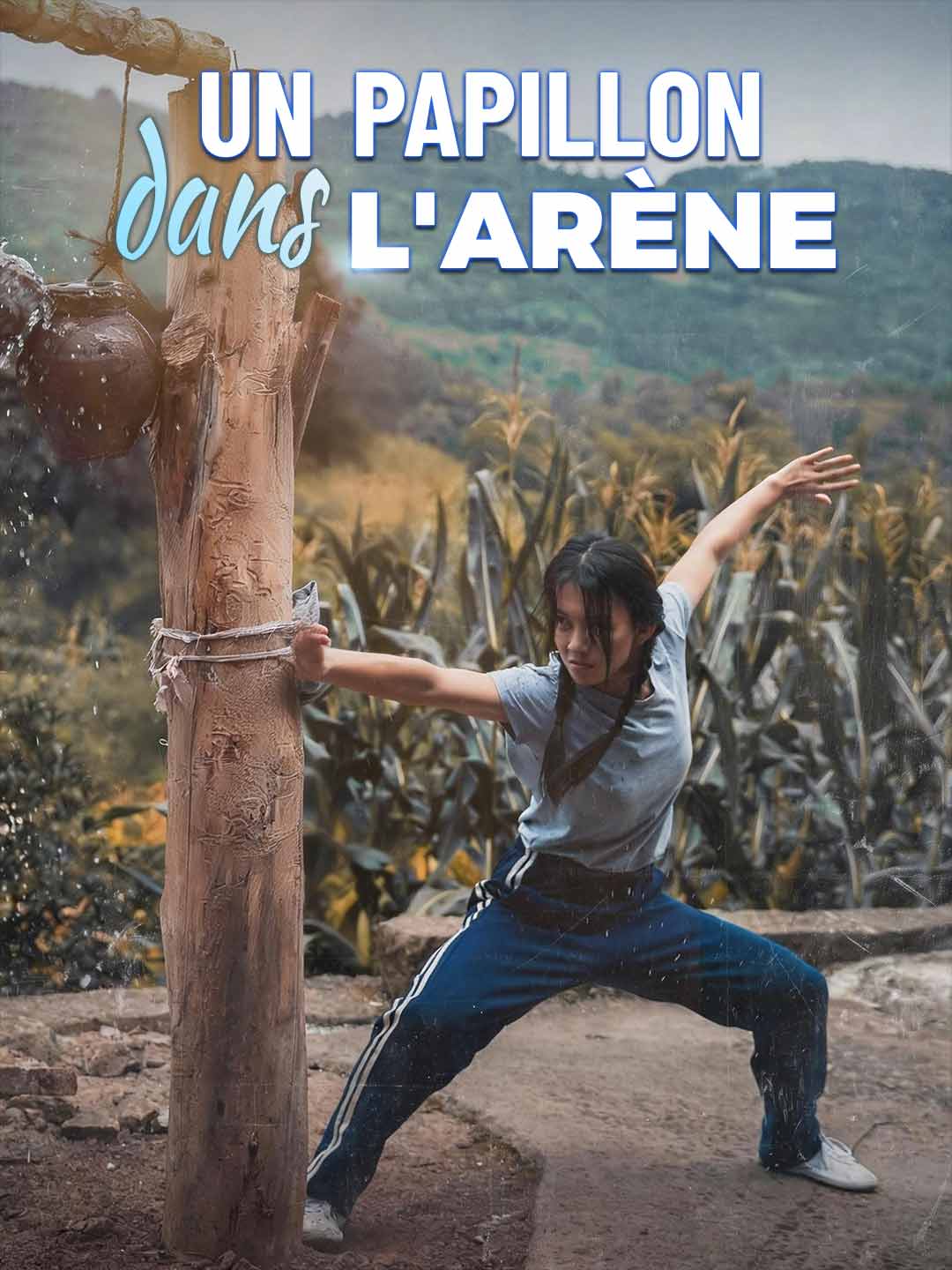 Un Papillon dans l'Arène