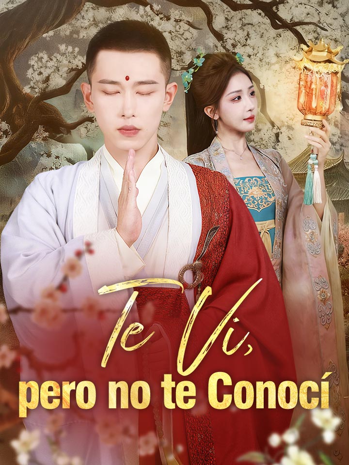 Te Vi, pero no te Conocí