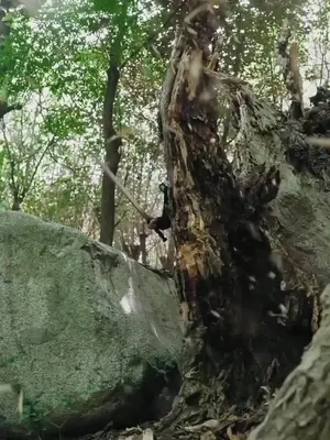 Bán Thần Trở Về