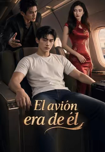 El avión era de él