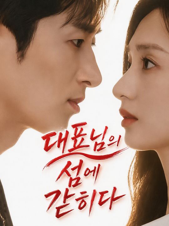 대표님의 섬에 갇히다
