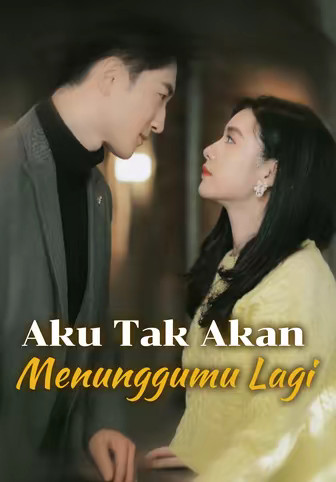 Aku Tak Akan Menunggumu Lagi