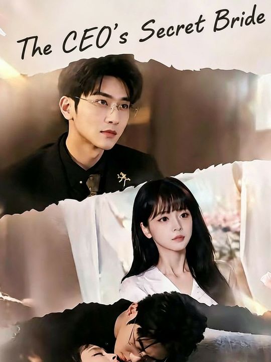 The CEO's Secret Bride