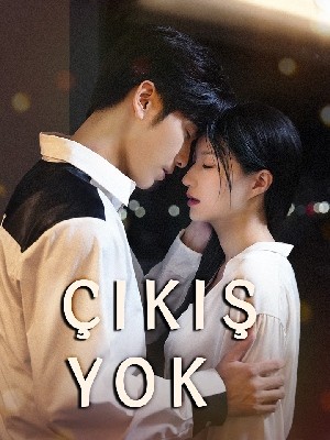 Çıkış Yok